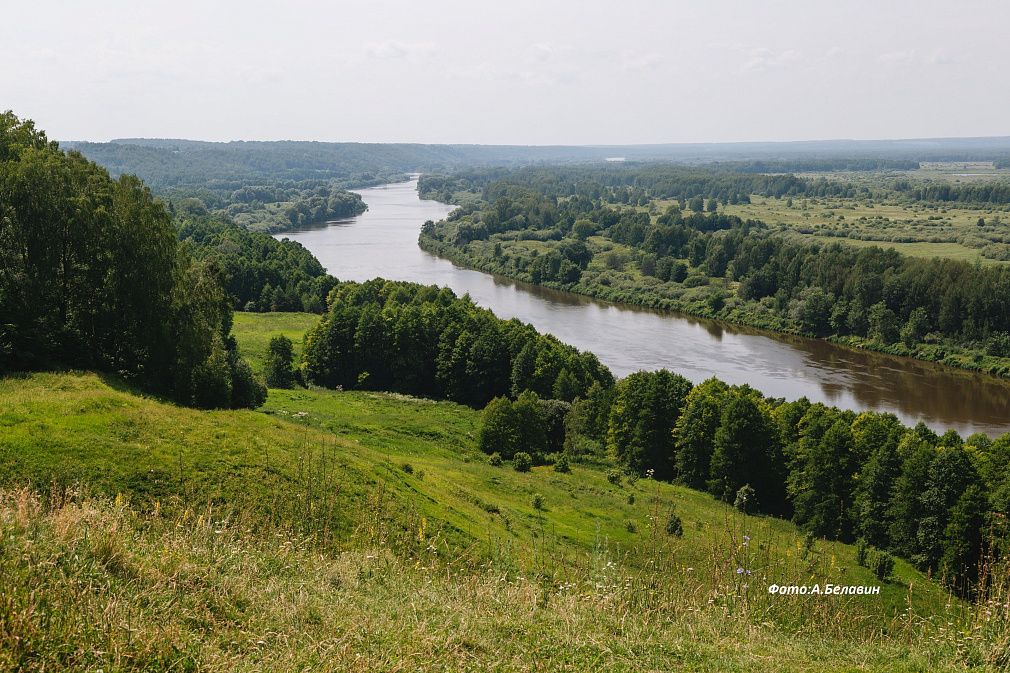 Лысая гора